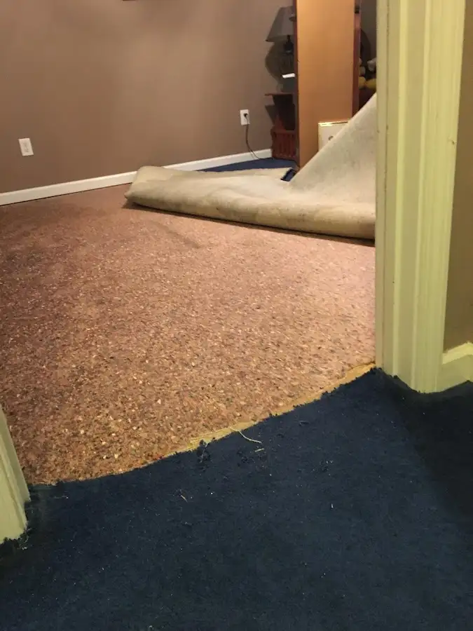 Carpet pad removal revealing water damage during Drying & Dehumidification in South Hanover