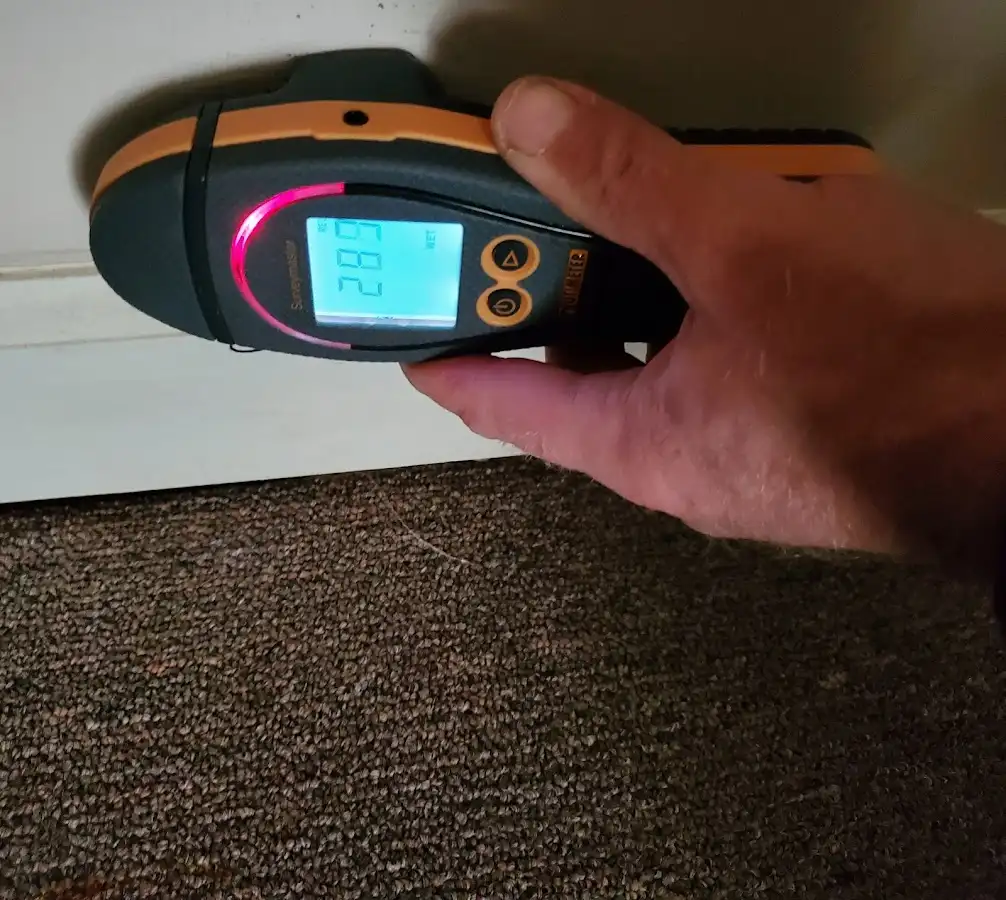 Moisture detection at baseboard during Sewage Cleanup & Sanitation in South Hanover